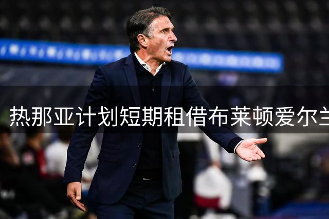 热那亚计划短期租借布莱顿爱尔兰前锋