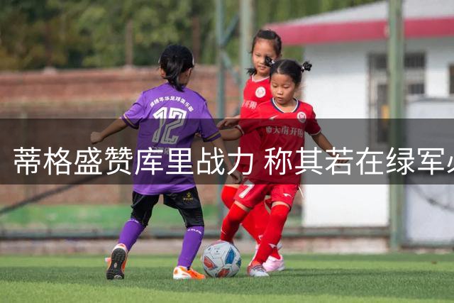 蒂格盛赞库里战力 称其若在绿军必进东决