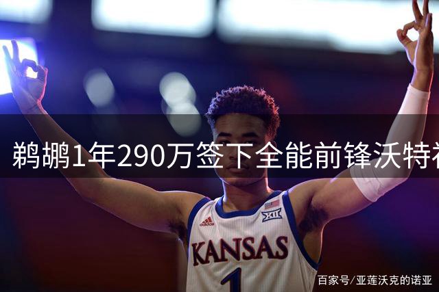 鹈鹕1年290万签下全能前锋沃特福德